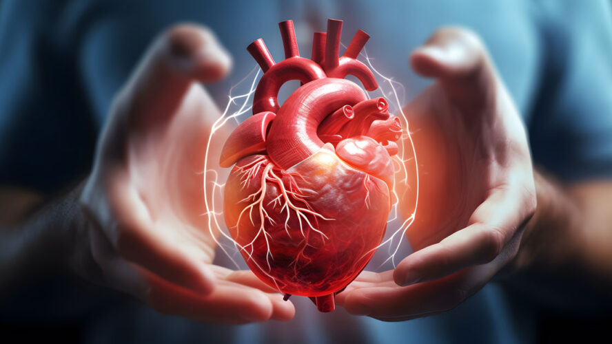 heart in mans hand illness Cardiovascular diseases ai generated art