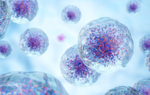 White blood cells with nucleus and granule . Transparency cell membrane . Medical and science concept background . 3D render