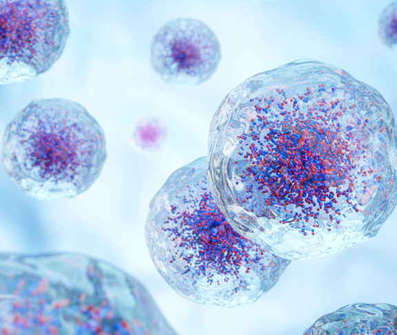 White blood cells with nucleus and granule . Transparency cell membrane . Medical and science concept background . 3D render