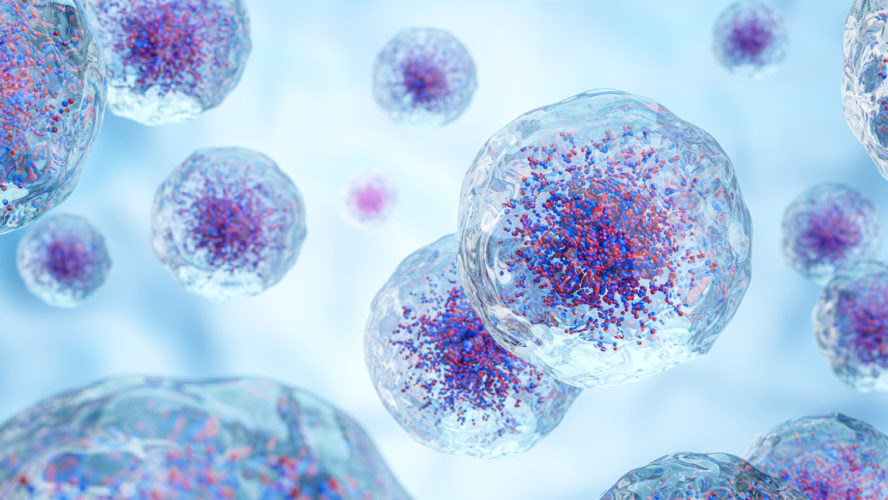 White blood cells with nucleus and granule . Transparency cell membrane . Medical and science concept background . 3D render