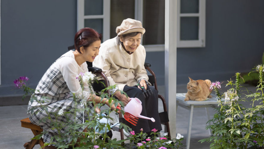 Elderly woman gardening in frontyard with daughter and cat