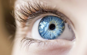 insightful look blue eye boy