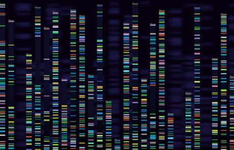 Genomic analysis visualization. Dna genomes sequencing, deoxyribonucleic acid genetic map and genome sequence analyse vector concept