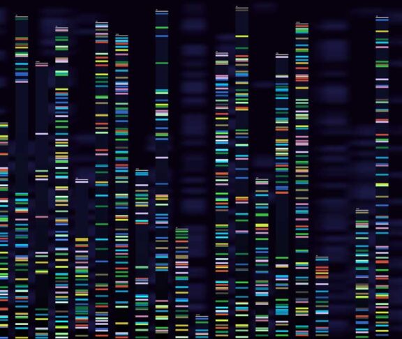 Genomic analysis visualization. Dna genomes sequencing, deoxyribonucleic acid genetic map and genome sequence analyse vector concept