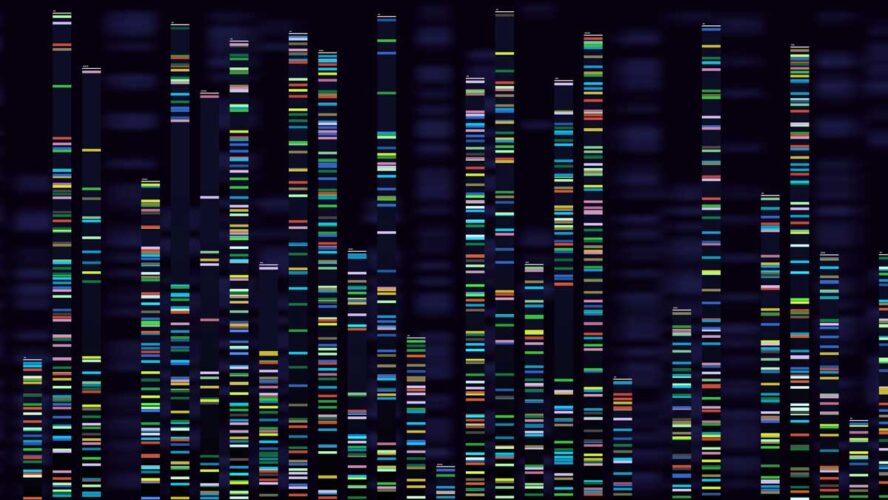 Genomic analysis visualization. Dna genomes sequencing, deoxyribonucleic acid genetic map and genome sequence analyse vector concept