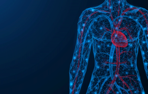 Cardiovascular system. The torso of a person with a heart and blood vessels. Low-poly design of interconnected lines and dots. Blue background.